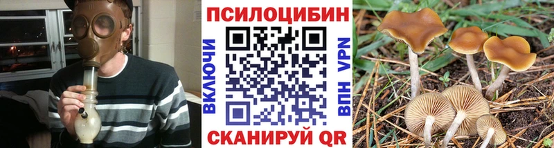 Купить где  Елец  Псилоцибиновые грибы Psilocybine cubensis 