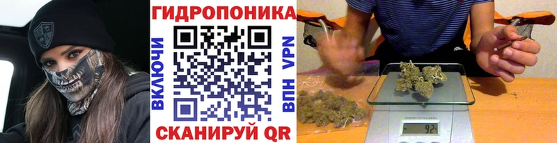 Купить  Елец  Марихуана SATIVA & INDICA 